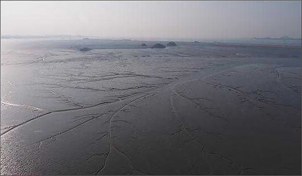 한국의 갯벌 – 서천(장항항에서 바라본 대죽도와 유부도의 펄갯벌)