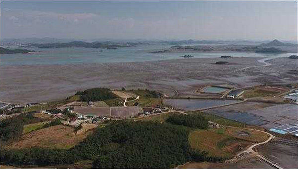 한국의 갯벌 – 신안(매화도)