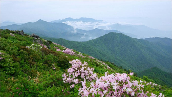 지리산/사진 이정수