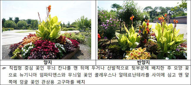 여름철 열대풍 가로화단