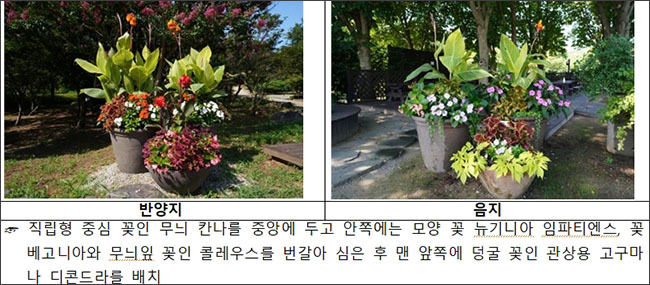 여름철 열대풍 가로화단