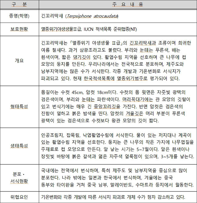 긴꼬리딱새 (Terpsiphone atrocaudata) 종 설명