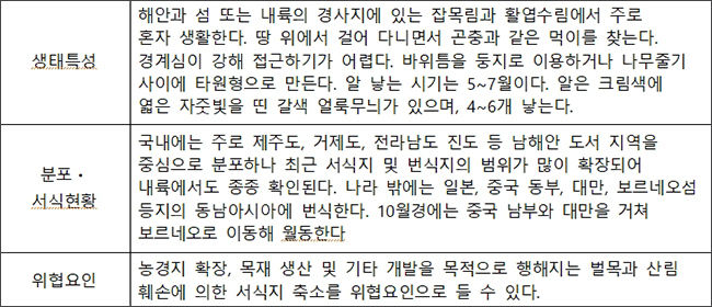 팔색조 (Pitta nympha) 종 설명