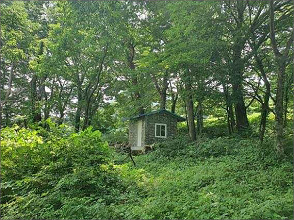 당숲