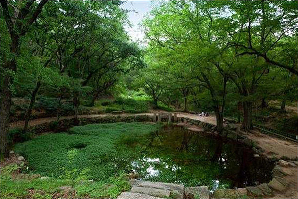 서울 부암동 백석동천