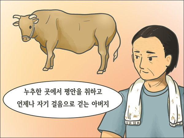 소를 보면서 "언제나 자기 걸음으로 걷는 아버지"를 생각한다(그림 유주연 작가)