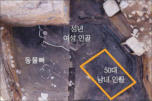 2021년 추가 인신공희 출토 모습 / 성년 여성 인골, 동물뼈