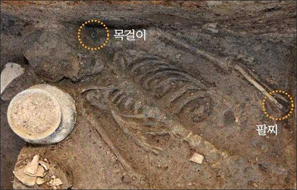 2021년 인골의 착장 유물과 토기 공헌
