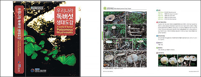 《우리나라 독버섯 생태도감》 표지 및 책내용 일부