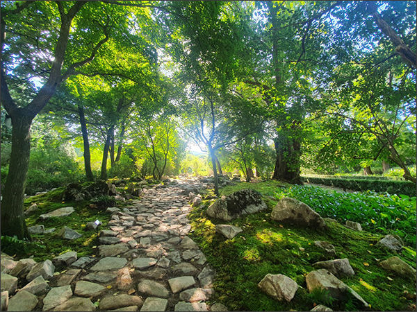 국립수목원 이끼원 1