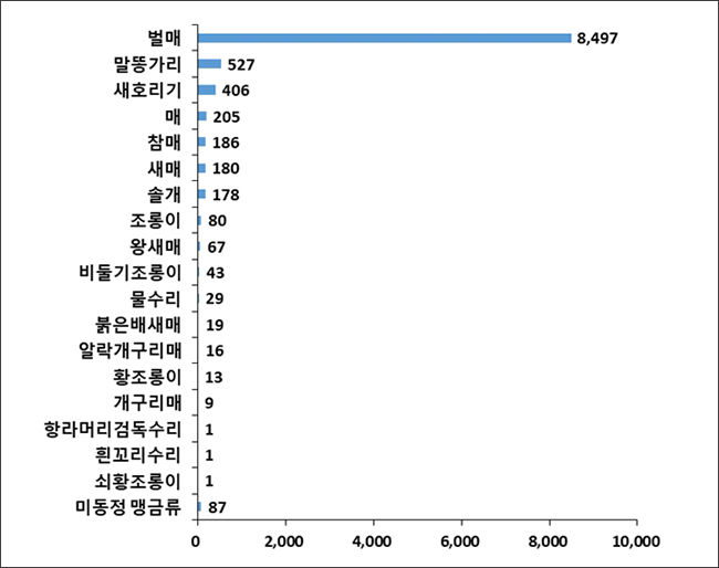 2021년 소청도 맹금류 종별 통과 마릿수