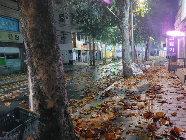 안상윤 사진