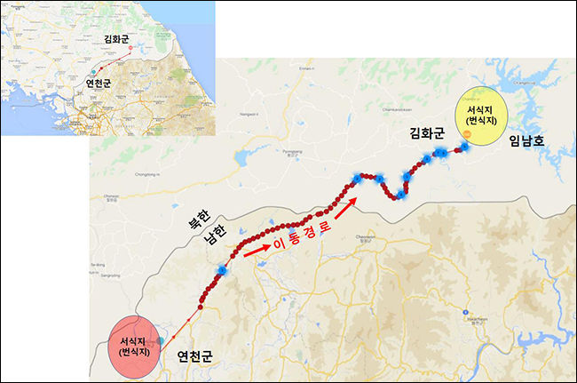 연천 양비둘기의 서식지 및 이동경로