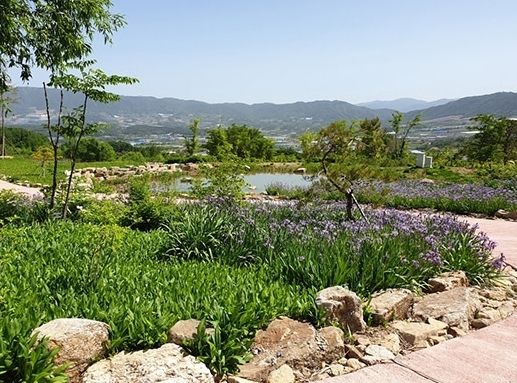 DMZ자생식물원 전경, (기사와 무관한 사진자료임)