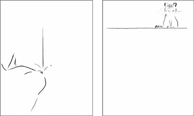 #05 #06 Ⓒ 김효은 _ 산문집 <당신이 나의 고양이를 만났기를>