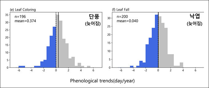 가을철 계절현상(단풍, 낙엽)이 늦어지는 경향을 보이고 있다.