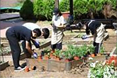 학교 텃밭 활동 모습