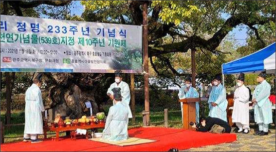 광주 북구 왕버들 기원제