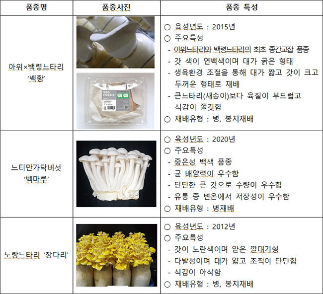 국산 버섯 품종