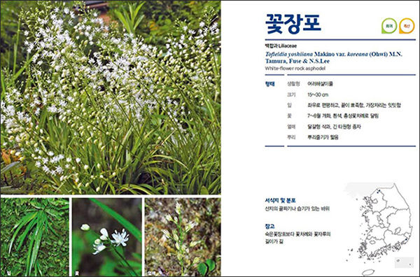 내지 예시(DMZ접경지역의 식물 Ⅴ, 철원군)