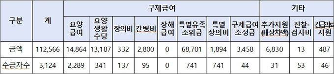 가습기살균제 구제급여 종류별 지원현황