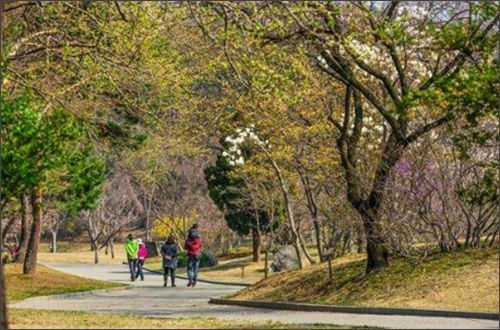 현충사 충무공묘 봄 풍경