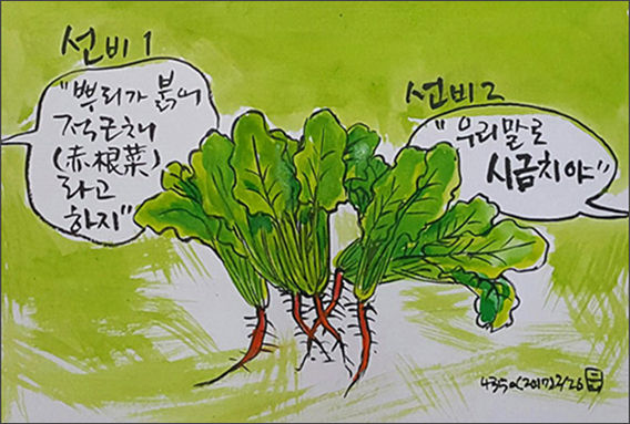 조선시대 시금치를 뿌리가 붉다 하여 적근채(赤根菜)라고도 했다.(그림 이무성 작가)