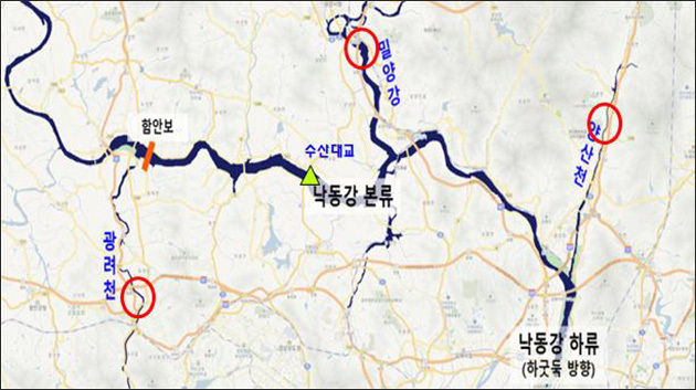 낙동강 지류에 어린 연어 30만마리 방류 지도