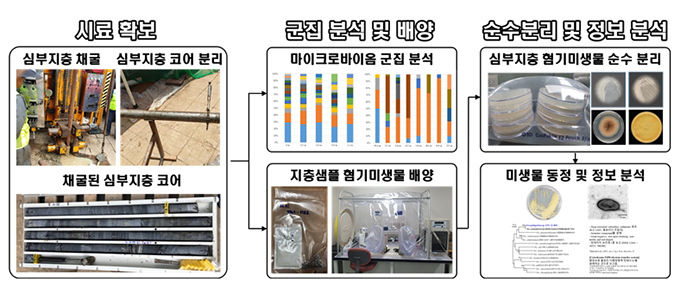 심부지층 시료 채굴 및 미생물 분리ㆍ배양 과정