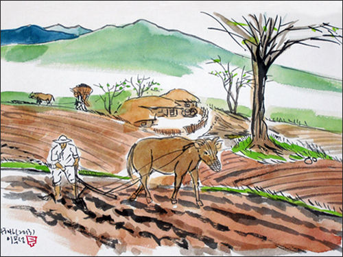 "춘분 즈음에 하루 논밭을 갈지 않으면 일 년 내내 배가 고프다." (그림 이무성 작가)