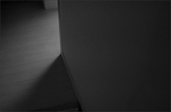#02 김지숙 <가시> _ Pigment Print 45*30cm 2022