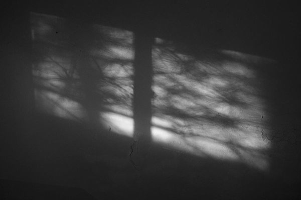 #03 김지숙 <가시> _ Pigment Print 45*30cm 2022