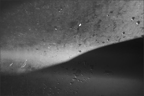 #05 김지숙 <가시> _ Pigment Print 45*30cm 2022