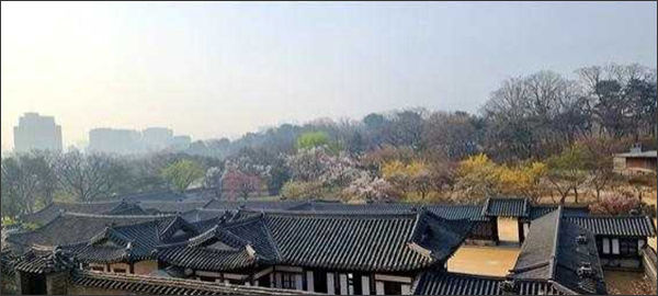 낙선재 후원에서 보는 낙선재 권역