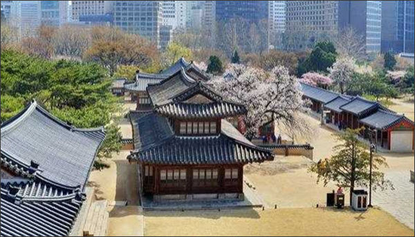 덕수궁 석어당 봄 풍경