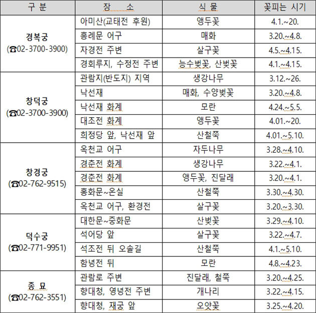 궁궐 봄꽃 피는 예상
