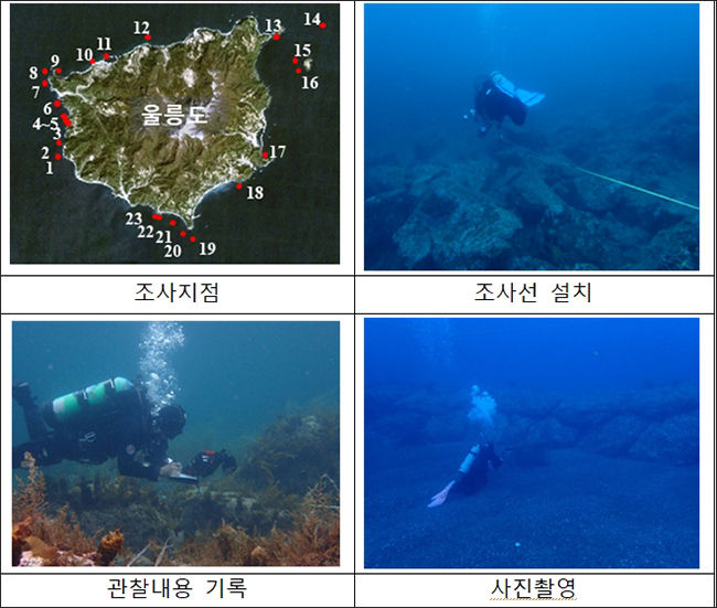 울릉도 어류 조사지점 및 조사방법 사진