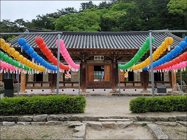 홍천 수타사 홍회루 앞에 수수하게 걸린 연등 