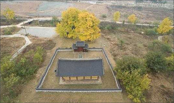 「세종 임난수 은행나무」와 숭모각