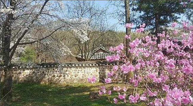 김포 장릉