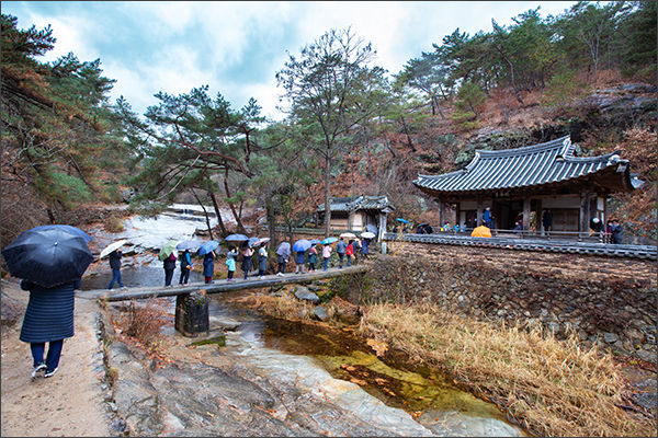 만휴정