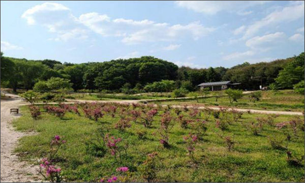 구리 동구릉 자연학습장