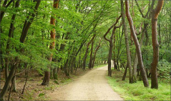 구리 동구릉