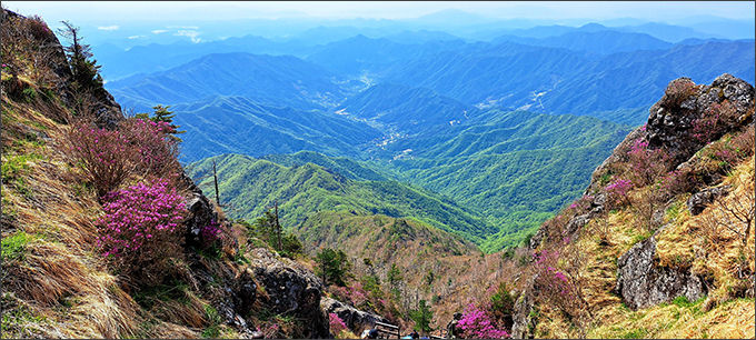 진달래 핀 전경(5.8.촬영, 사진제공: 자원활동가 조점선)