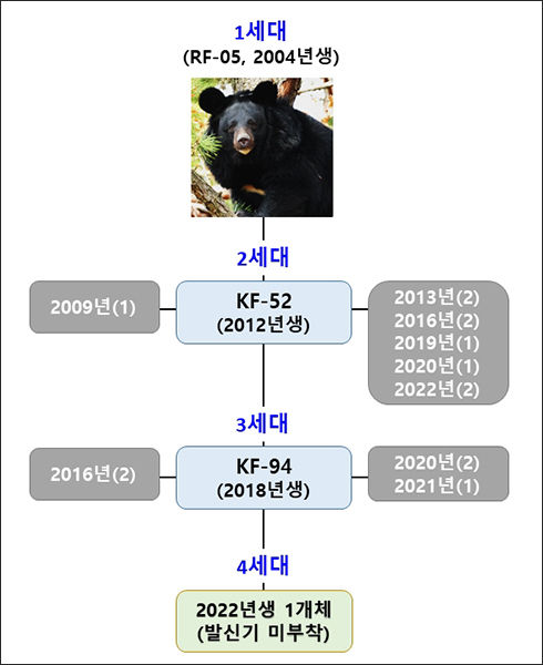 4세대 가계도