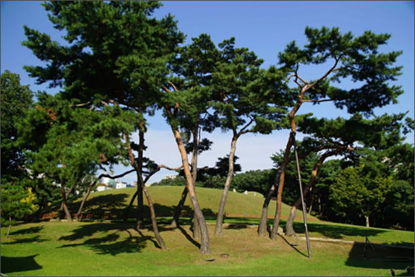 조선왕릉 선릉