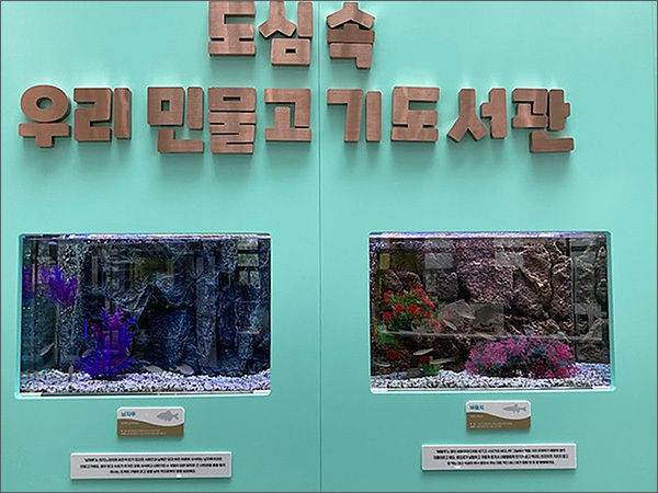 광교홍재도서관 1층 로비에 전시된 토종 민물고기 수조