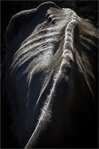 MC Mt3, 150x100cm, Pigment Print, 2022