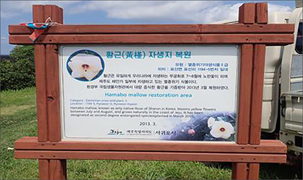황근 자생지 복원 안내판