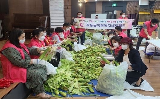 무더운 날씨에도 강원도 찰옥수수 1,200여개를 쪄서 소외된 이웃에게 전달하기 위해 다듬고 있는 강동융복합복지네트워크 회원들 (KBS사회봉사단 제공)